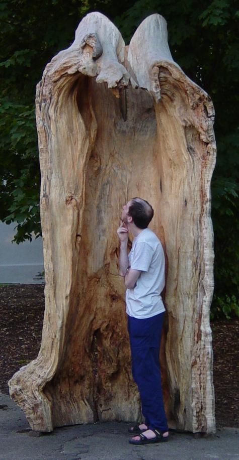 9 stump a.JPG